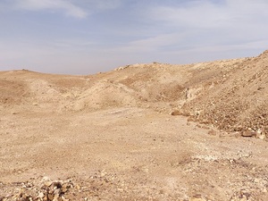 IMG20210309152834.jpg